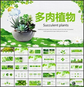 多肉植物PPT