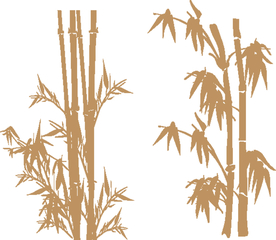 竹林清香心旷神怡