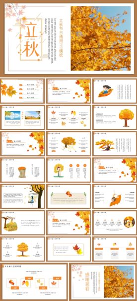 立秋PPT