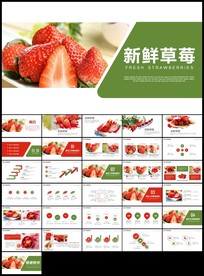 新鲜草莓采摘园水果农产品种植