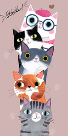 猫咪 小动物 叠高高