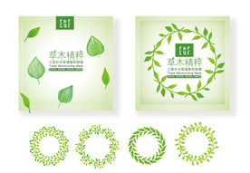 植物面膜包装设计