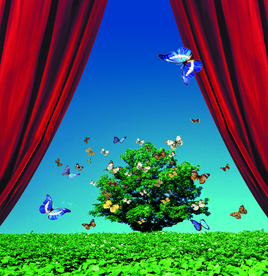 生态环境论坛大会揭幕