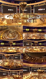 公司年会集团表彰晚会最佳员工颁