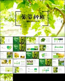 葡萄庄园新疆葡萄PPT模板