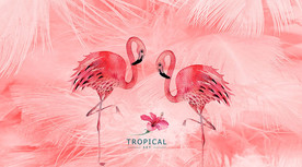 火烈鸟背景墙