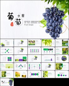 葡萄庄园新疆葡萄PPT模板