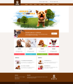 宠物医院 卡通网站