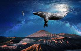 孤独宇航员荒凉鲸鱼意境