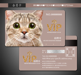 宠物店VIP