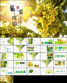 葡萄庄园新疆葡萄PPT模板