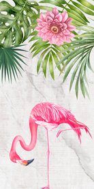 手绘植物热带火烈鸟背景墙玄关画