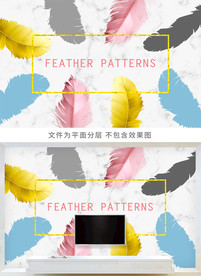 北欧小清新羽毛大理石纹背景墙