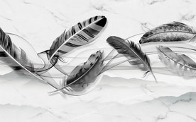 立体羽毛画 TIF分层 背景墙