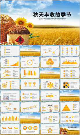金秋农业水稻新农村小麦农田丰收