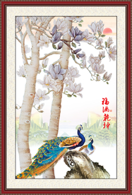 玉兰花