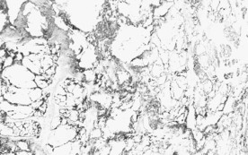 抽象石纹爵士白大理石纹背景墙