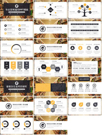 2019年大学生毕业答辩PPT