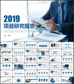 项目研究报告PPT