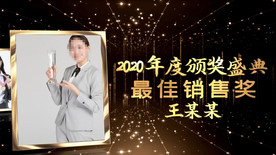 企业颁奖人物介绍AE模版