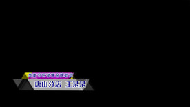 人名职称字幕条ED模版