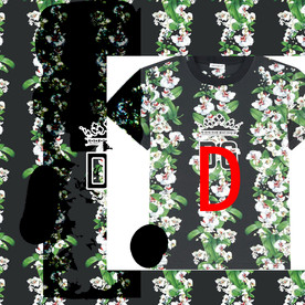 大牌男装 叶子 蝴蝶兰