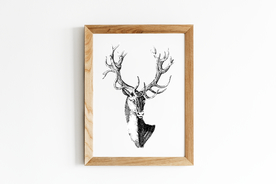 麋鹿黑白艺术画