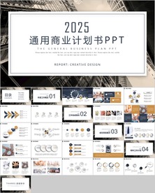 扁平商务创业计划商业融资计划书