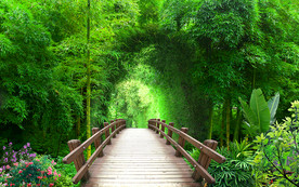 竹林独木桥电视背景墙