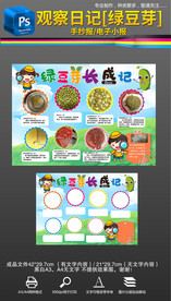 植物黄豆芽观察日记手抄报小报