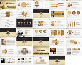 2020年高档商业计划书PPT