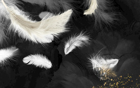 羽毛欧式装饰画 TIF分层