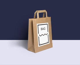 VI手提袋效果图图片