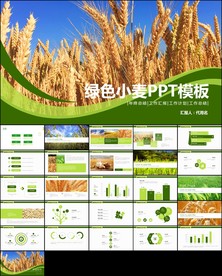 农业种植小麦PPT模板