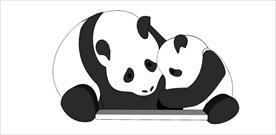熊猫模型