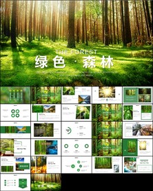 绿色唯美原始湿地森林PPT模板