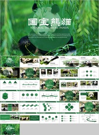 保护动物吃竹子国宝熊猫野生动物