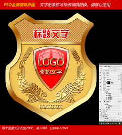 红宝石加亚克力金属徽章