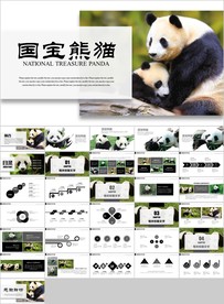 保护动物吃竹子国宝熊猫野生动物