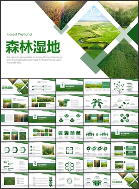 森林湿地绿色时尚清爽PPT