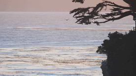 大海啊故乡 景色 舞台背景视频