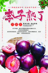 李子熟了海报