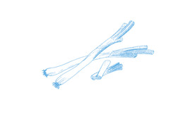 手绘大葱矢量图