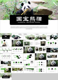 保护动物吃竹子国宝熊猫野生动物