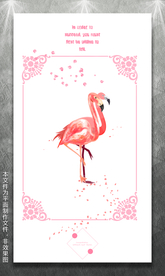 火烈鸟卡片
