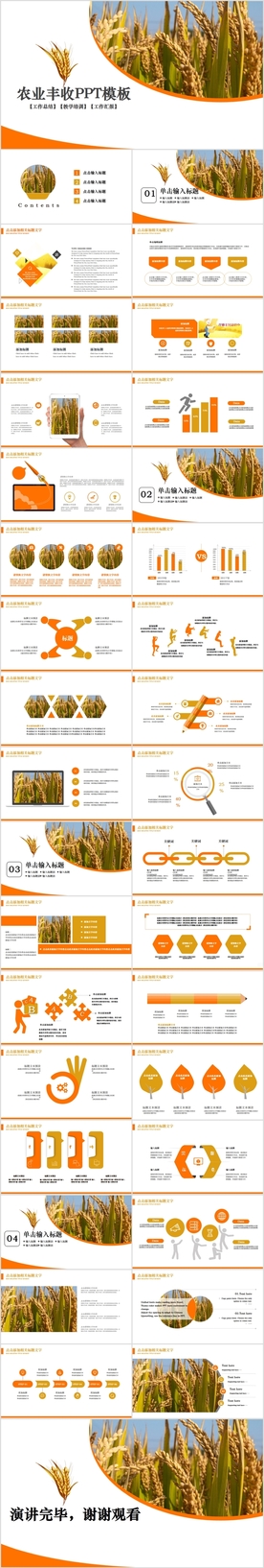 农田稻田水稻梯田绿洲农业PPT