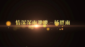 情深深雨濛濛歌词pr模板
