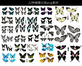 多种蝴蝶png分层素材