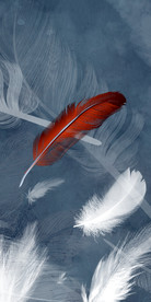 豪华欧式玄关画 TIF分层