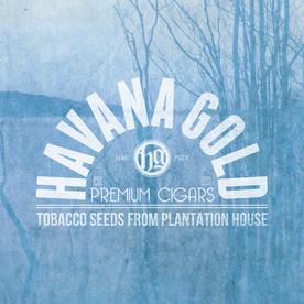 徽标奖章字体设计